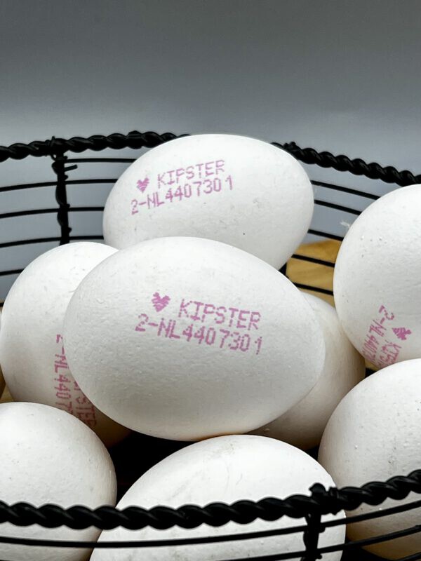 Door ticket ongerustheid Kipster eieren bij de Lidl.....zijn ze werkelijk 100% milieu en  diervriendelijk??? - Monique van der Vloed