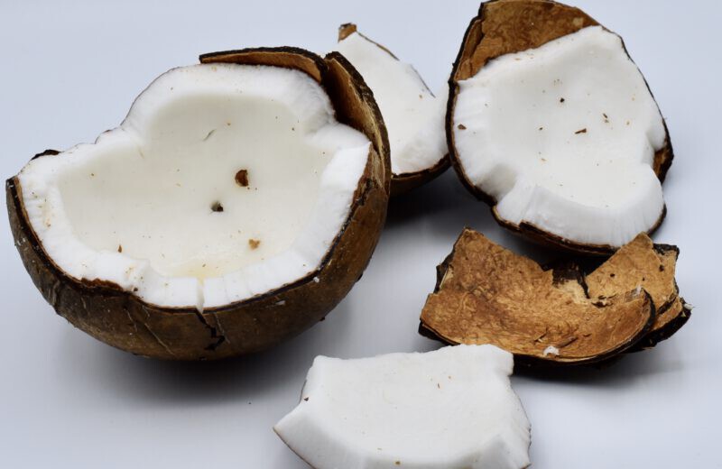 fonds Netelig Vaag De ECHTE verhalen achter kokosolie - Monique van der Vloed