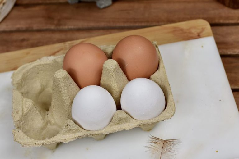 kolf Conserveermiddel massa Het grote eieren dossier...alles wat je wilt weten over eieren! - Monique  van der Vloed
