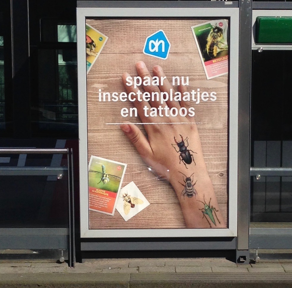 Over de insecten tattoo's ...en Hollandicons ( 2021 ) van de Heyn..... - Monique van der Vloed